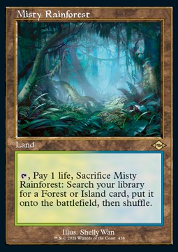 Misty Rainforest (V.1)
