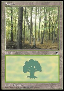 Forest (V.2) - Portal (Land)