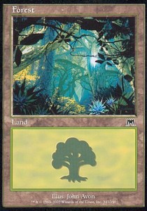 Forest (V.1)