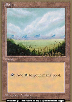 Plains (V.1) - Pro Tour 1996: Preston Poulter (Special)