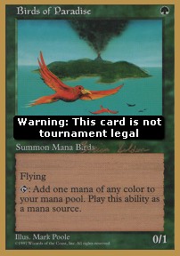 Birds of Paradise - WCD 1998: Brian Selden (Special)