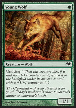 Young Wolf - Dark Ascension (Common) [DKA-134]