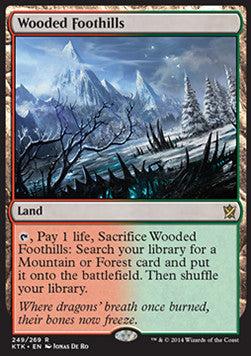 Wooded Foothills⁣ - Khans of Tarkir⁣ (Rare)⁣ [249]