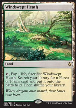 Windswept Heath⁣ - Khans of Tarkir⁣ (Rare)⁣ [248]