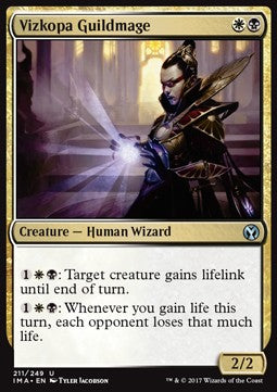 Vizkopa Guildmage