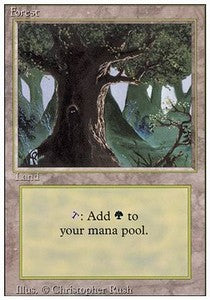 Forest (V.3)