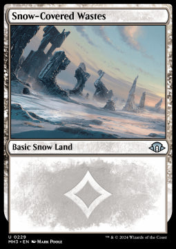 Snow-Covered Wastes (V.1) - Modern Horizons 3 (Uncommon) [MH3-229]