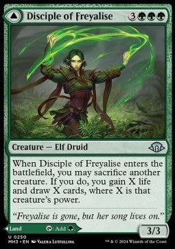 Disciple of Freyalise // Garden of Freyalise⁣ - Modern Horizons 3⁣ (Uncommon)⁣ [250]
