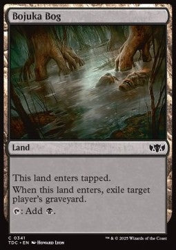 Bojuka Bog - Commander: Tarkir: Dragonstorm (Common) [TDC-341]