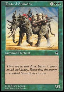 Trained Armodon - Tempest (Common)