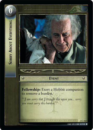 Sorry About Everything (1C312) [The Fellowship of the Ring]