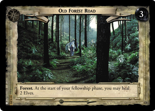 Old Forest Road (11S251) [Shadows]