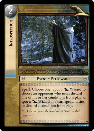 Introspection (12U29) [Black Rider]